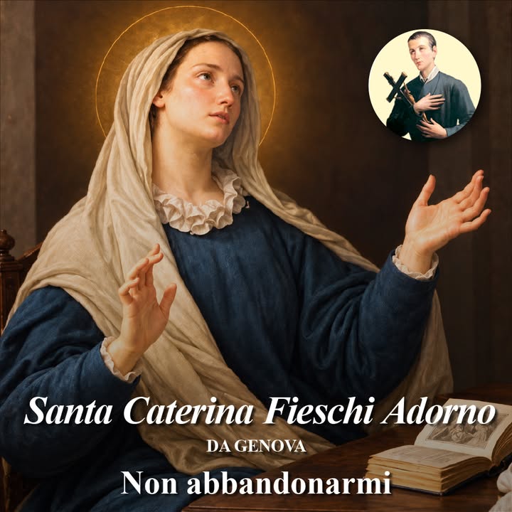 santa caterina fieschi adorno