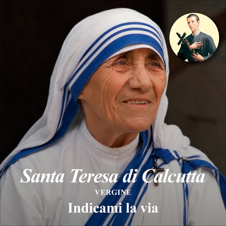 santa teresa di calcutta